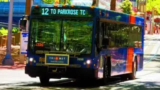Portland Transit Action | Downtown MAX & TriMet Bus Madness