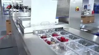 Standard Model  |  RST-425SSoft(Flexible) Material Thermoforming Machine