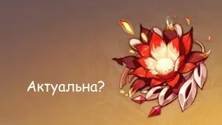 Ху Тао. Сравнение сета Ведьмы с Сэминавой. Genshin Impact