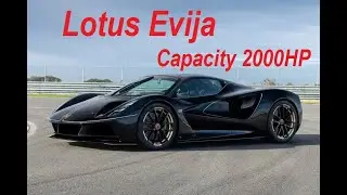 The 