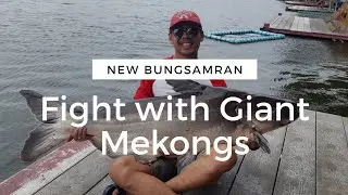 Honeymoon ke New Bungsamran, Bangkok - Mekong Madness part 1