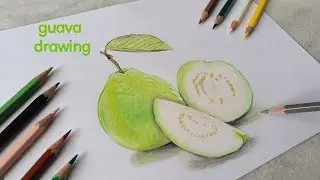 Guava drawing with coloured pencils#fruitdrawing