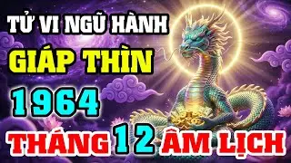 Tử Vi Tuổi Giáp Thìn 1964 Tháng 12 Âm Lịch 2025: Vận Hạn Và Tài Lộc Cuối Năm