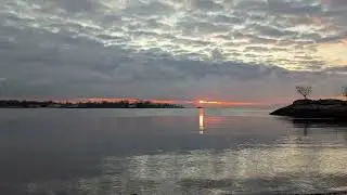 mec