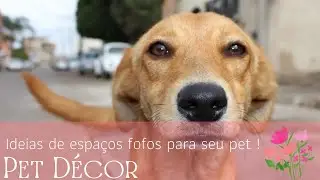 Casinhas para pets | Decora&ccedil;&atilde;o para o cantinho do pet