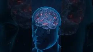 3 Amazing Brain facts 2 - You Didn't Know #shorts #short