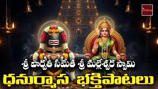 Lord Shiva Devotional Songs | Om Namah Shivaya | Shiva Bhakti