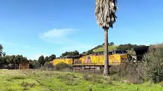 Moaoa long hood forward 