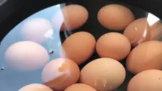SUPER EASY Egg peeling hack! #Peeling #boiledeggs #eggshells