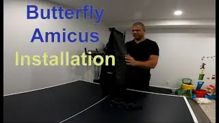 Butterfly Amicus Installation