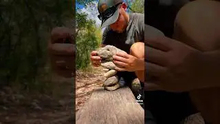 Stone Stacking In The Woods