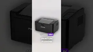Невероятная цена. Сколько стоит принтер для дома. Pantum P2500W