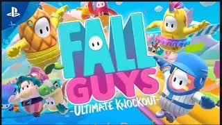 Noob haalt top 5 door luck  ( fall guys ).