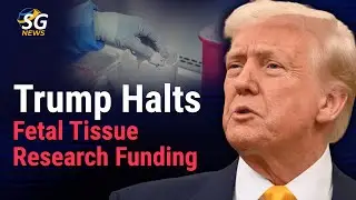 Trump Halts Fetal Tissue Research Funding | SG News
