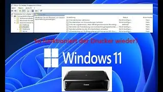 Windows 11 2022: So funktioniert euer Drucker wieder!