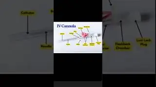 IV Cannula size and colour code.#gnm #bscnursing #education #hospital #viralvideo