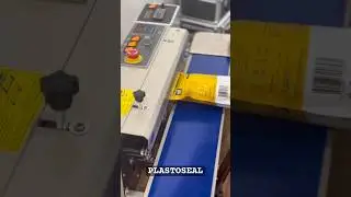 Chips Packing Machine with Nitrogen Flushing | Band Sealer for Perfect Sealing