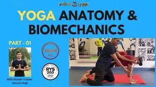 Part 1 Anatomy & Biomechanics for Yoga & Fitness Professionals (Wrist Joint)