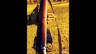 Lee-Enfield Rifle Shooting Test 🎯 Accuracy & Power | #Shorts