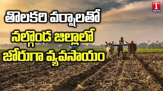 Special Report: Farmers Get Ready To Kick Start Farm Work | Nalgonda | T News