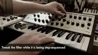 Moog Sub Phatty & MF-104M Analog Delay
