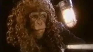 Monkey - Movie Titanic