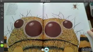Eye to Eye  How Animals See the World
