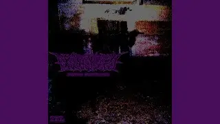 EMPATHY DESTITUTE 2XL