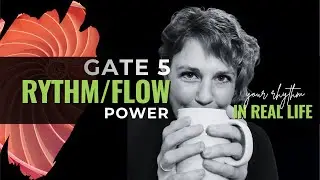 Human Design Gate 5 Explained: Rhythms & Flow in Real Life
