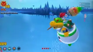 Super Mario 3D World + BOWSER&rsquo;S FURY
