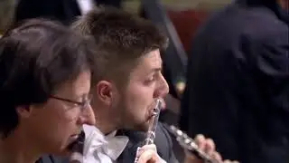 BEETHOVEN - 3rd Symphony (IV mov.) - Flute Solo (Demin)