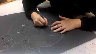 Making Cat Art -  