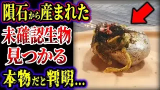 【ゆっくり解説】隕石から生まれた未確認生物見つかる…!! エイリアン？ヴェノム？…専門家が言及...正体がヤバい...!!!【UMA。未確認生物】