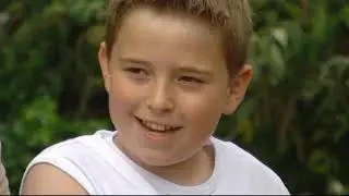 This is Britain - Animals & pets