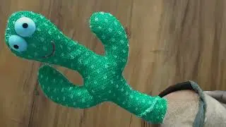 Dancing Cactus opening and review