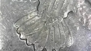 1989 P HALF DOLLAR 2 DIE CLASHES FG WINGS ON FRONT BY BACK OF HEAD