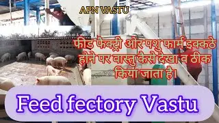 Animal farm and Feed fectory Vastu Visit 