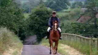 FD8131 Trotting