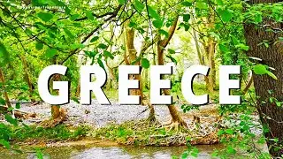 Мы нужны Эвии. Зеленый рай затерялся в огне.