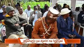 KARIRI NA WANGUI  - NGURARIO