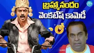 Namo Venkatesa Movie Back to Back Comedy Scenes |Venkatesh, Trisha, Brahmanandam, Kota Srinivasa Rao