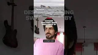 Kayaker describes being swallowed by whale