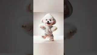 Dancing Puppy DeliCuteDog Shows Off Dance Moves#Dog#motorcycle#dance#dogdance#pet