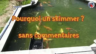 pourquoi un skimmer  sans commentaires