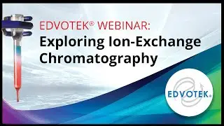 Principles of Ion Exchange Chromatography
