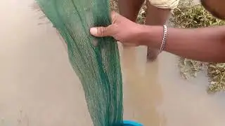 চাইনা জাল দিয়ে মাছ ধরা