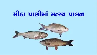 Fisheries