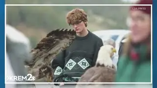 BLM: Migrating eagle population peaked early this year