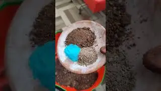 Potting Soil Mix for Succulents 05.01.2026
