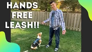Hands Free Leash For Dogs!!  (Arcadia Trail Hands Free Leash)